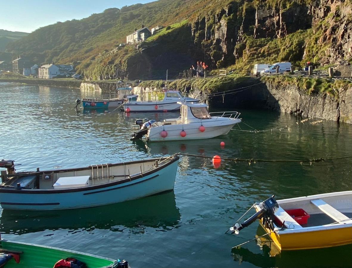 Polrunny Farm Elderberry Cottage With Sea View Boscastle Luaran gambar